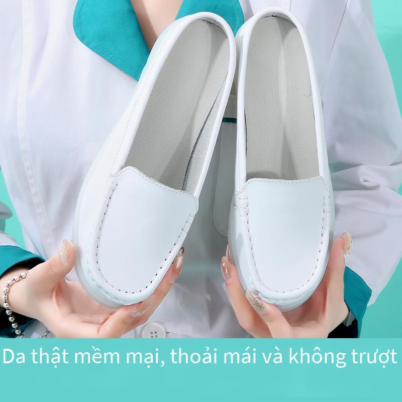 Giao hàng nhanh giày nữ tăng ins giày thủy triều giày vải giày cặp giao hàng nhanh
