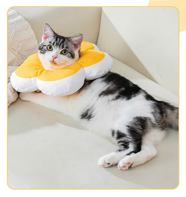 VÒNG CỔ THÚ CƯNG VÒNG CỔ LOA CHỐNG LIẾM CHO THỎ CHÓ MÈO BÔNG HOA DỄ THƯƠNG TỪ 0.5-5.5KG MÃ 10 CHO CHÓ MÈO THỎ