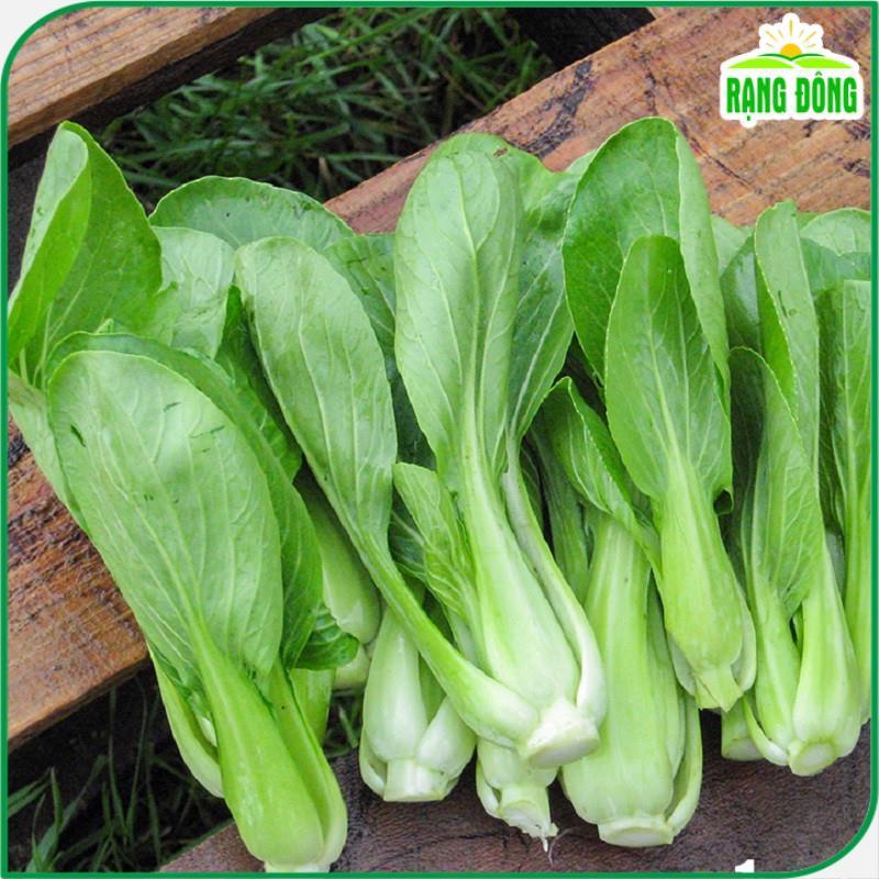 Hạt giống Cải Thìa , Dễ Trồng - Hạt giống Rạng Đông