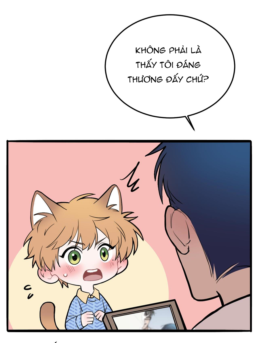 rốt cuộc bé mèo đang nghĩ gì ? chapter 11 48