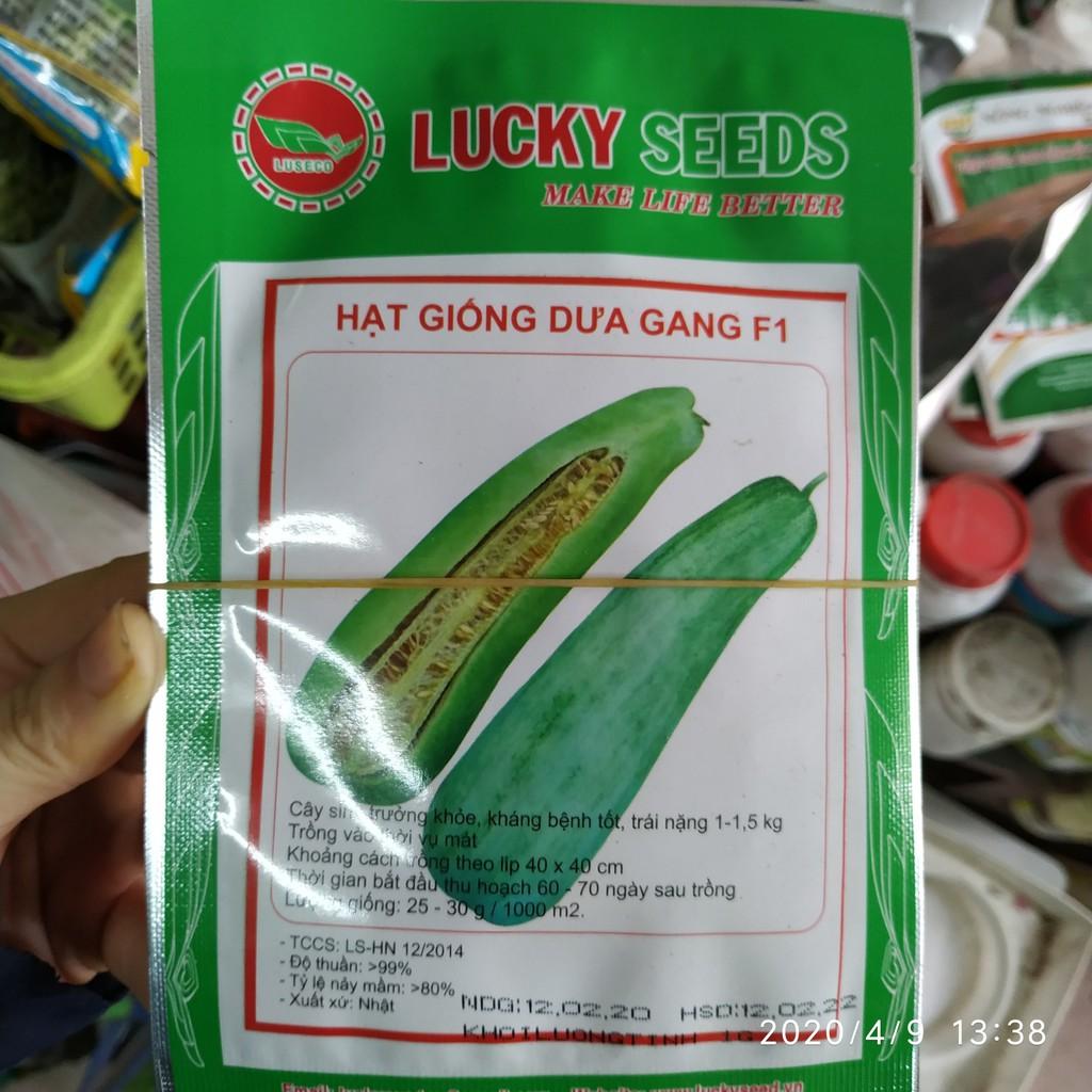 Hạt giống dưa gang F1 gói 1g