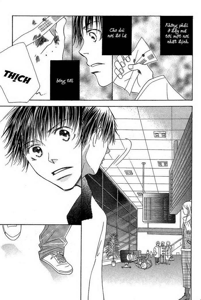 tiếng gọi tình yêu từ giữa lòng thế giới chapter 4 26