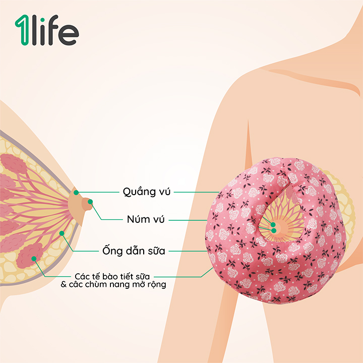 Túi chườm kích sữa 1Life