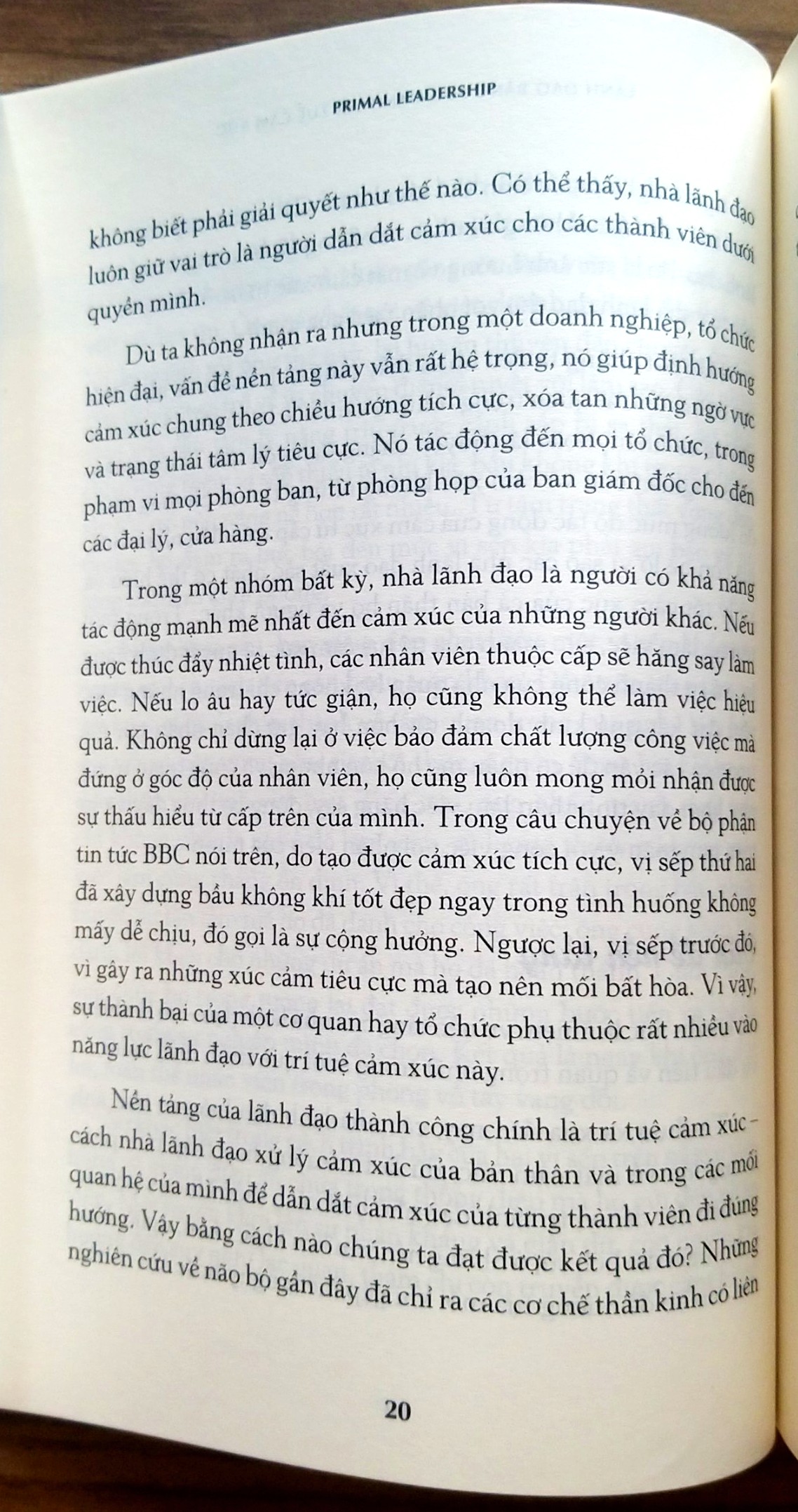 Lãnh Đạo Bằng Sức Mạnh Trí Tuệ Cảm Xúc - Annie Mckee, Daniel Goleman, Richard Boyatzis (Bìa mềm)