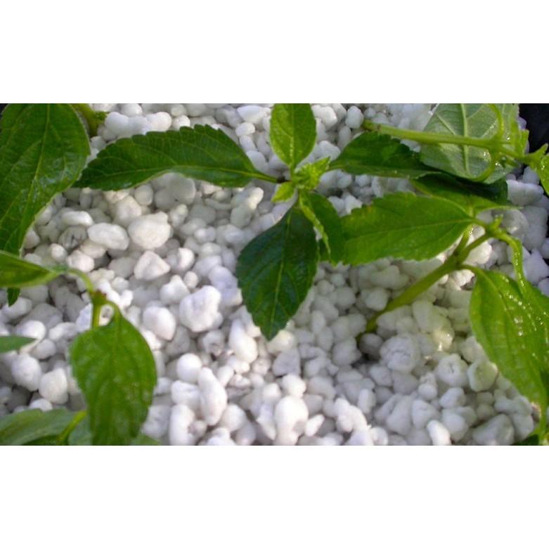 Đá Perlite Namix gói lớn 20dm3 giàu khoáng chất, giá thể trộn đất trồng cây hiệu quả-Đồ Gia Dụng Tại HCM