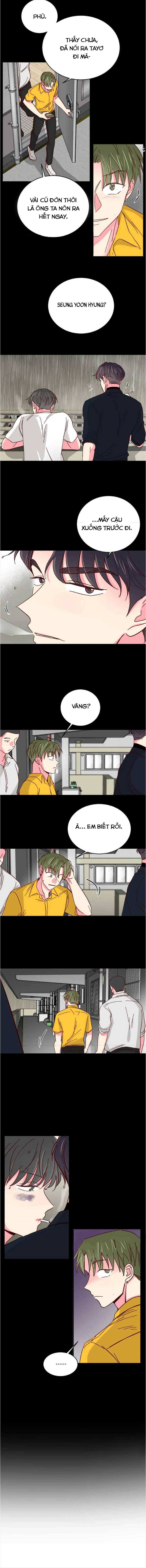 món tráng miệng của sếp tổng chapter 42 9