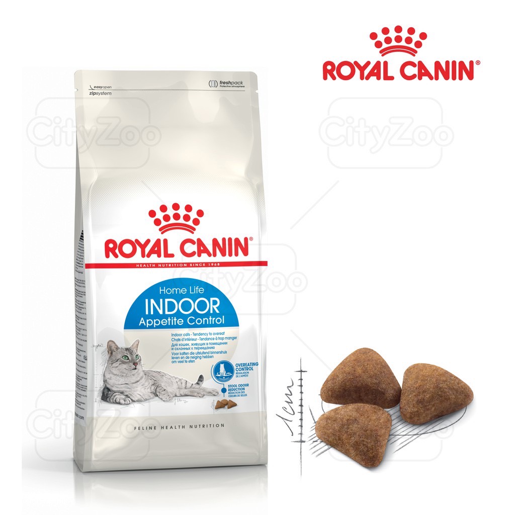 hạt royal cain indoor cho mèo