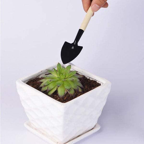 Bộ dụng cụ mini trồng cây, trồng hoa trong chậu