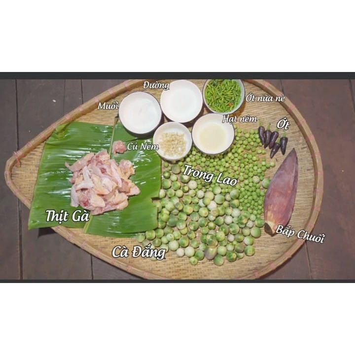 Hạt giống cà đắng Tây Nguyên CT75 - Gói 20 hạt