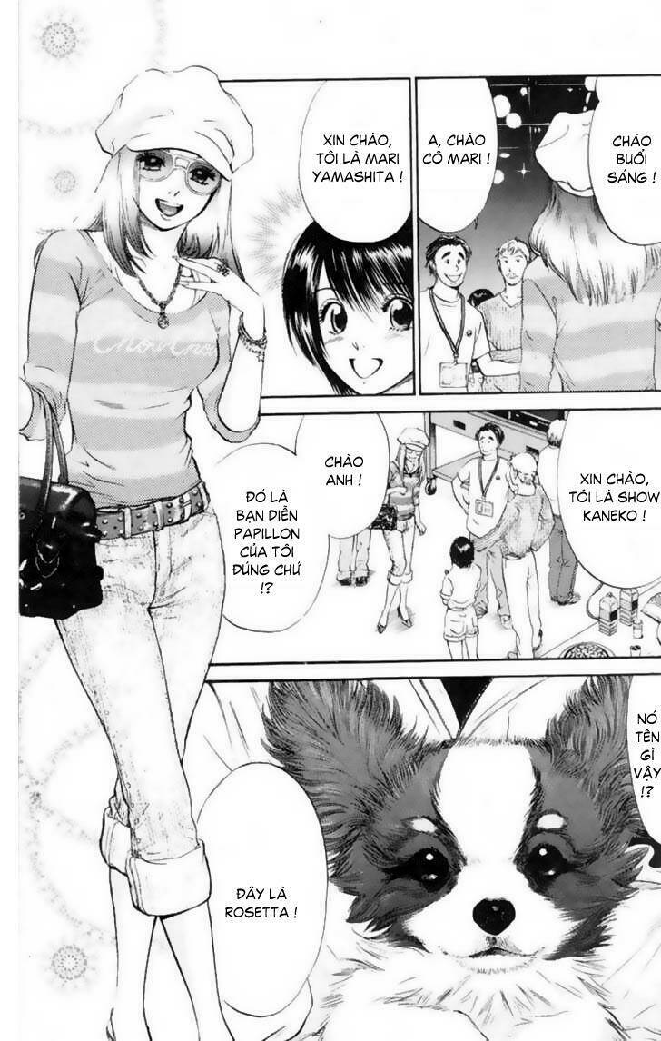 cô nàng yêu chó chapter 12 15