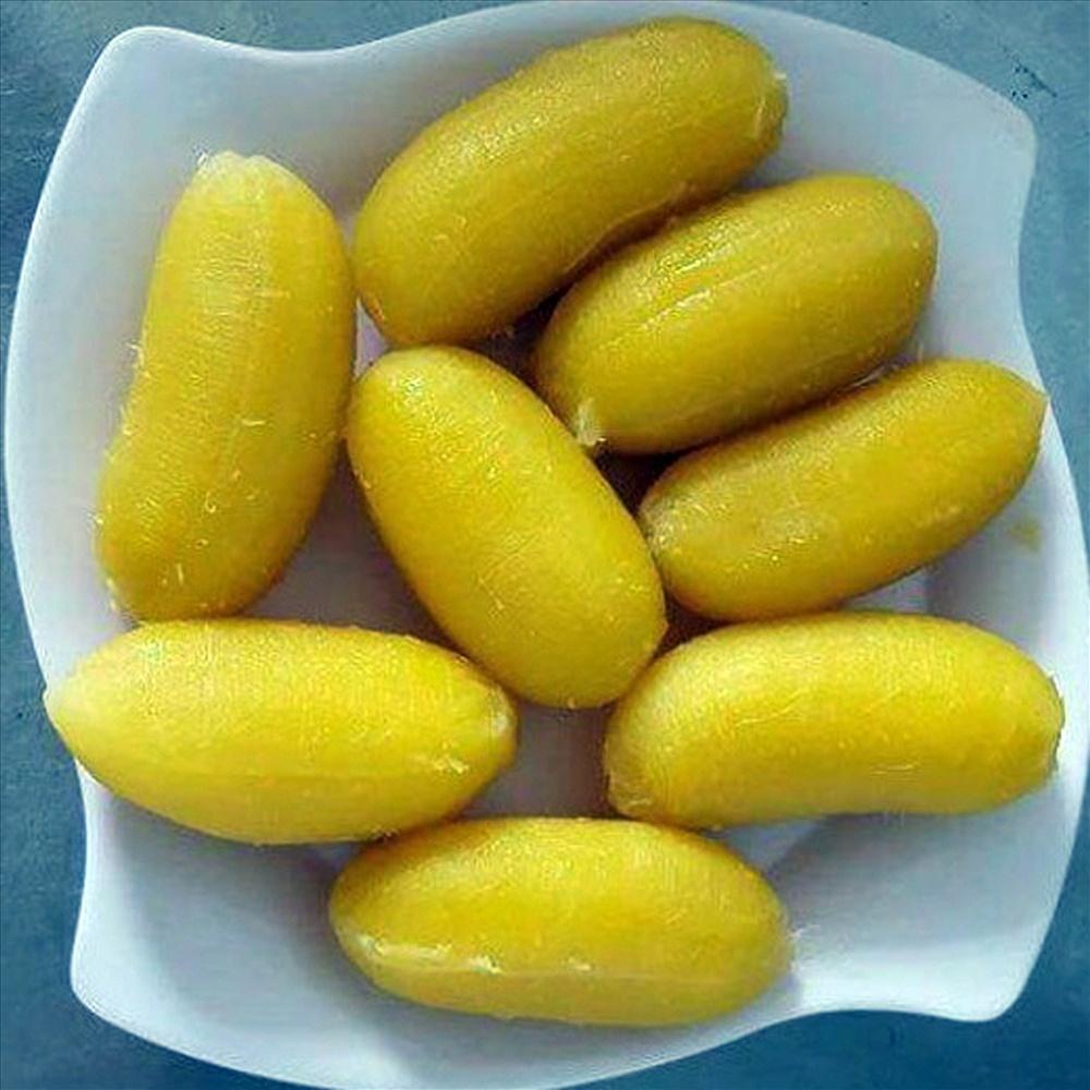 CÂY GIỐNG CHUỐI SÁP cấy mô giao hàng nhanh