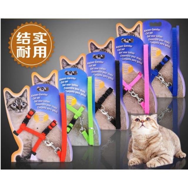 Dây dắt chó mèo chuyên dụng