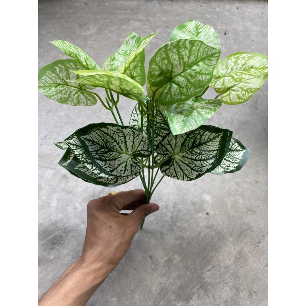 Cành lá dương sỉ điểm trang trí