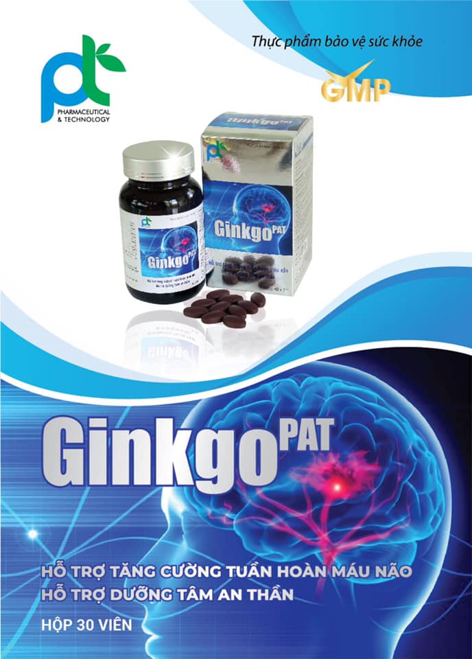 Thực Phẩm Bảo Vệ Sức Khỏe GINKGO PAT