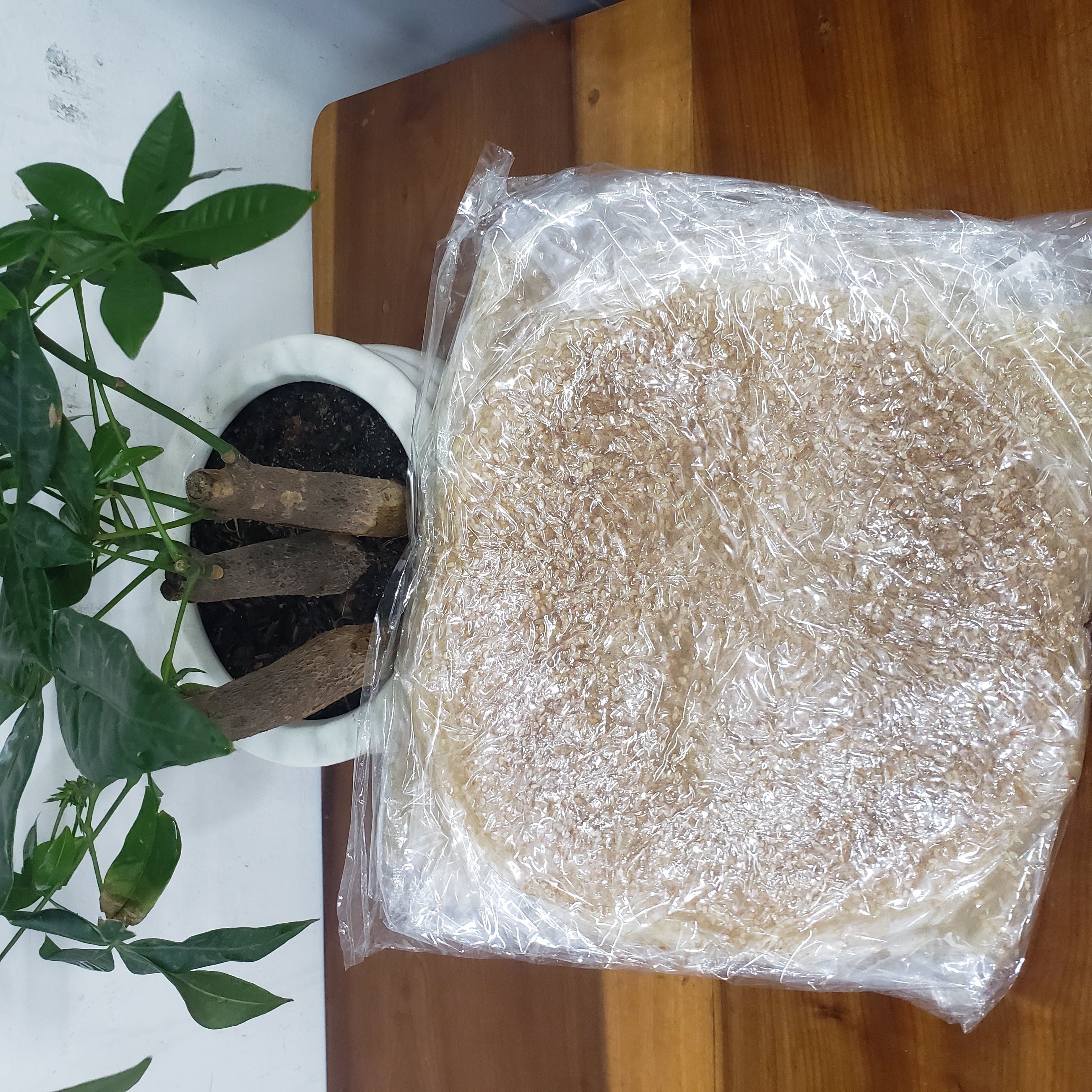 Đặc Sản Nha Trang-Bánh Tráng Cuốn Không Nhúng Nước Mè Gừng Dẻo Ngọt Loại Dày, Seavy Combo 3 Gói 250 Gram