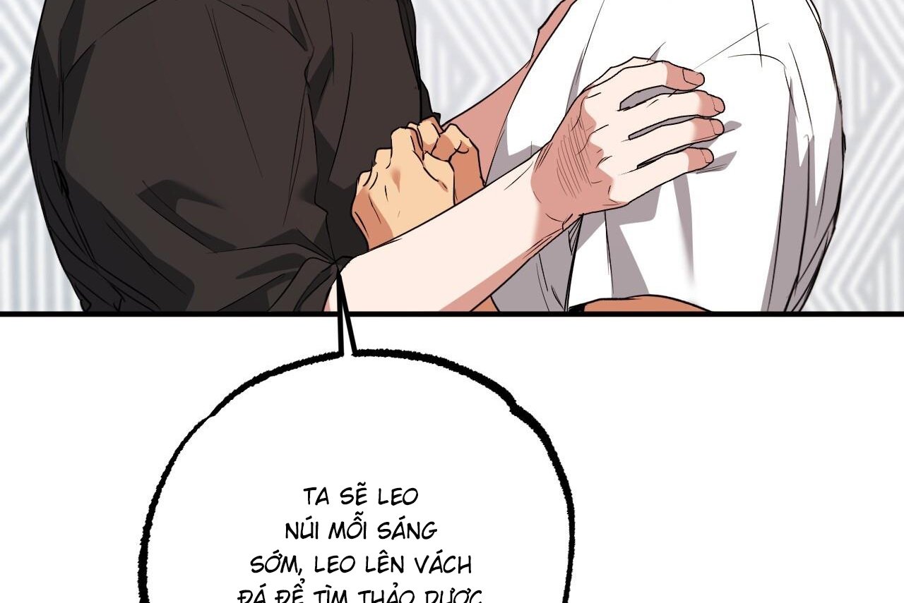 những chú thỏ của hapypy chapter 61 56