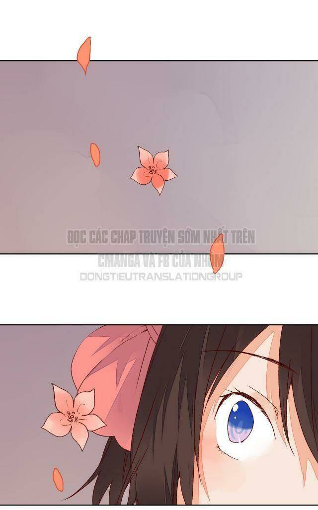 đốt đào hoa chapter 62 4