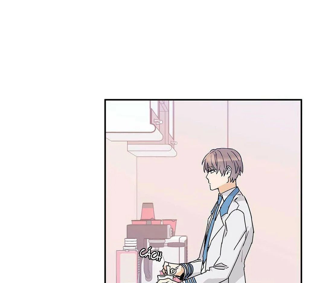 guide cấp b chapter 10 3