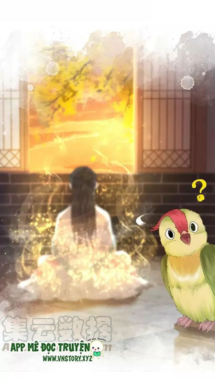 cực phẩm phế vật tiểu thư chapter 108 25