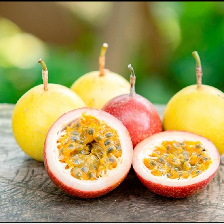 Combo Hạt giống 5 loại quả dễ trồng