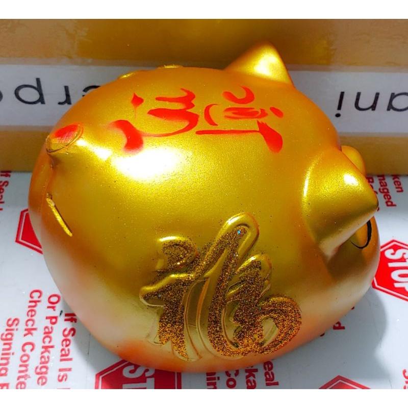 Heo đất mắt híp, lợn đất mắt híp