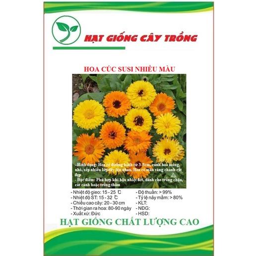 Hạt Giống Hoa Cúc Susi Nhiều Màu CT416 - Gói 50 hạt