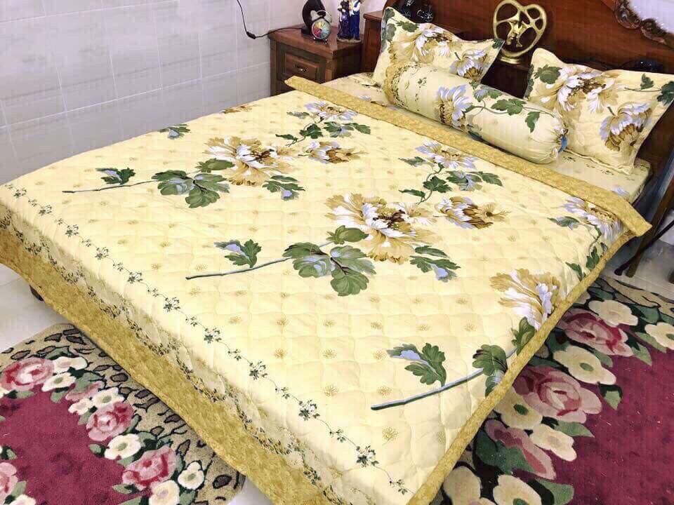 Combo ga trải giường cotton