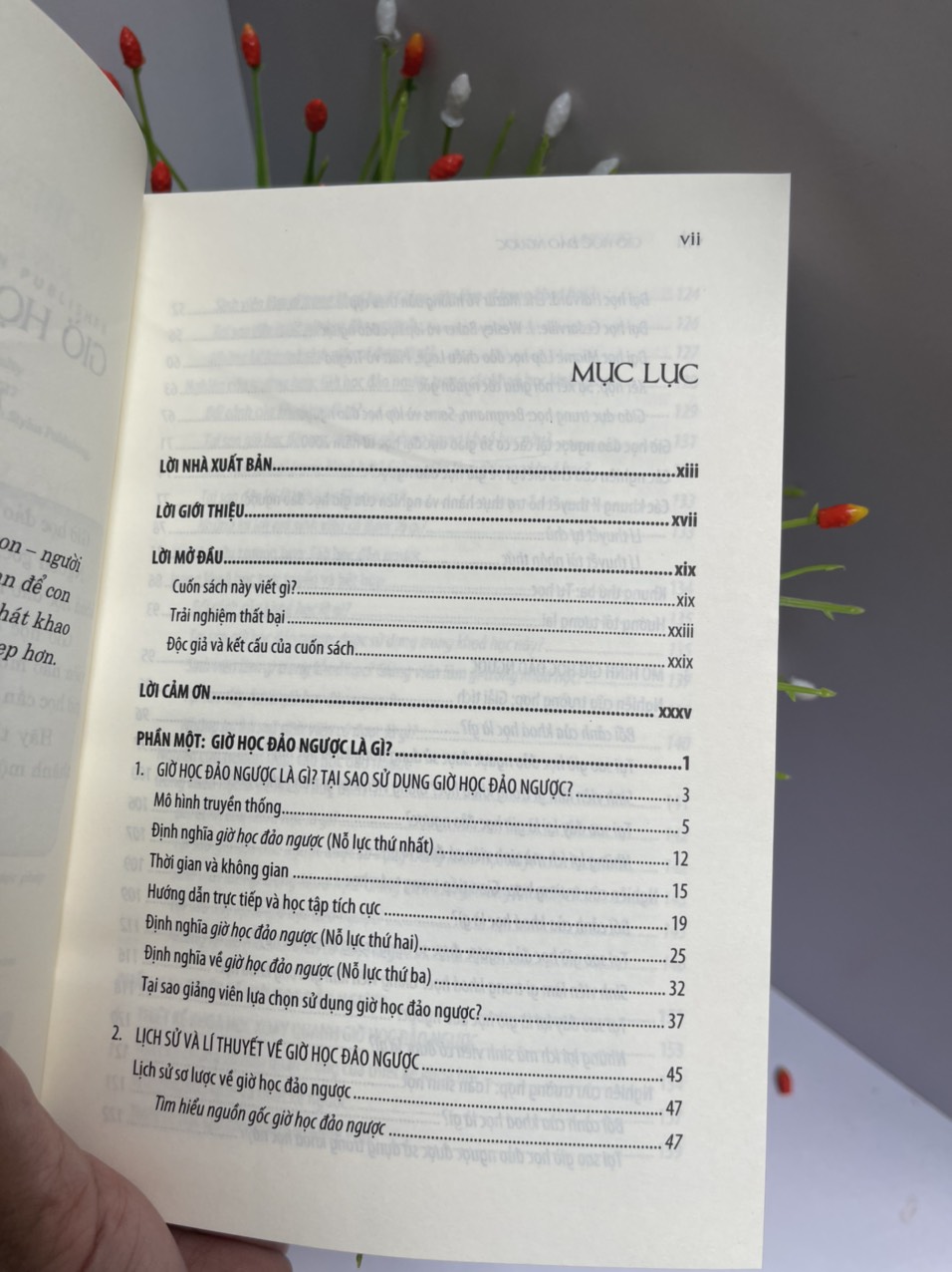 GIỜ HỌC ĐẢO NGƯỢC - Hướng dẫn dành cho cơ sở giáo dục đại học – Robert Talbert – Vũ Thúy Nga, Hoàng Liên (dịch) - NXB ĐH Sư phạm