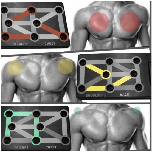 Dụng cụ chống đẩy GYM PT Thể hình tại nhà xếp gọn Thenational Fitness kèm liệu trình tập - ShopToro - AsiaMart