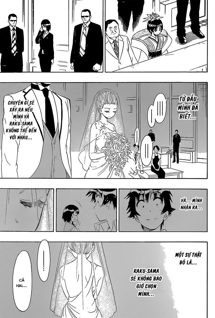 nisekoi - tình yêu giả tạo chapter 189 14