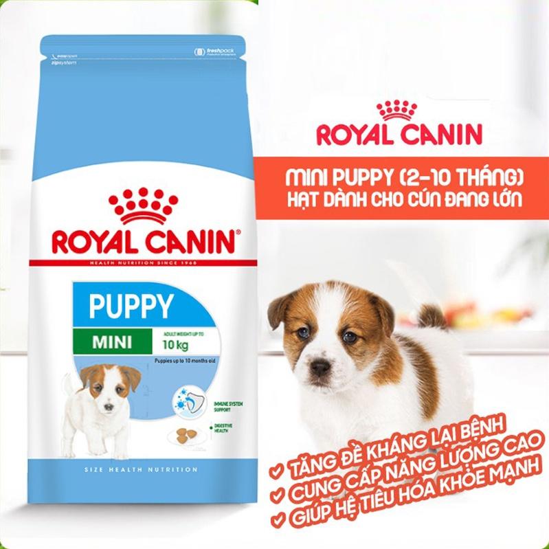 Thức ăn cho chó con dưới 12 tháng ROYAL CANIN MINI PUPPY gói nguyên 800gr