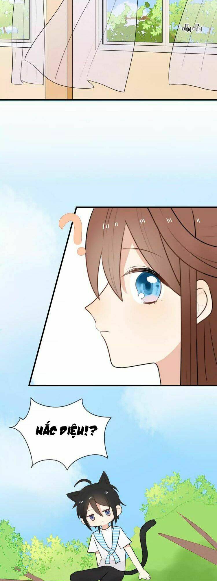 tiểu miêu và hắc diệu thạch chapter 5 22