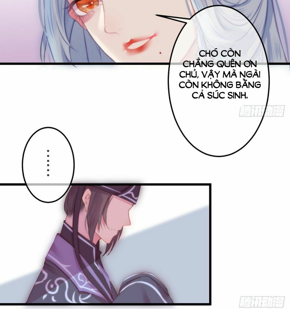 trẫm quyết định giải tán hậu cung chapter 4 8