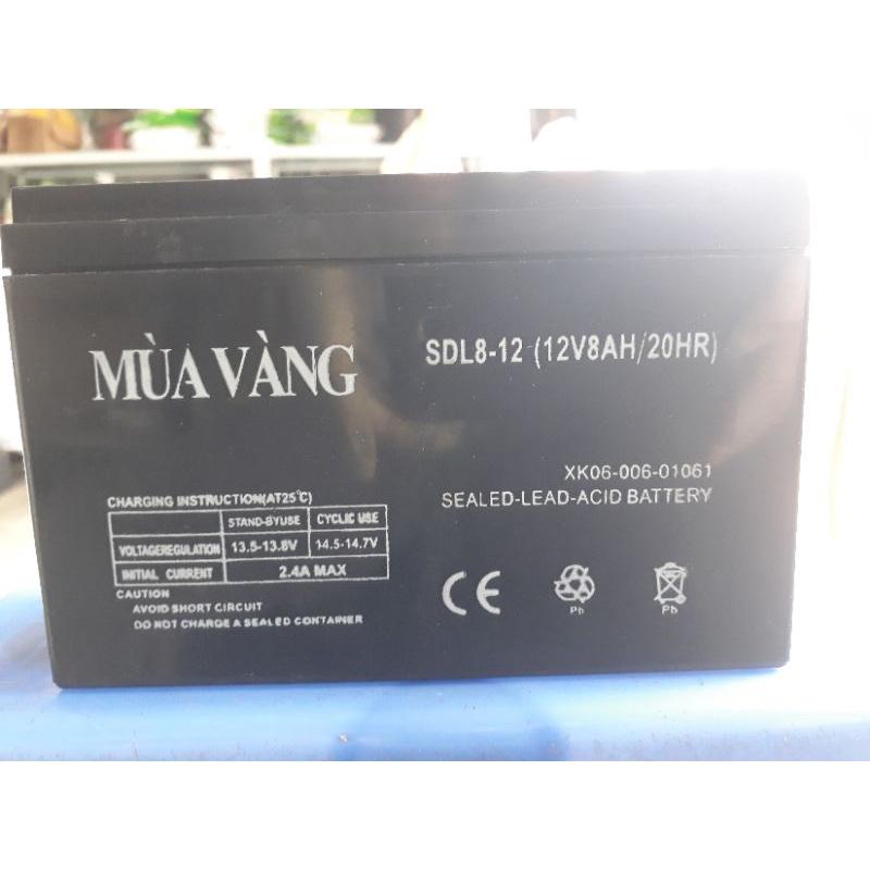 Ắc quy bình bơm, xe điện,..... 12V