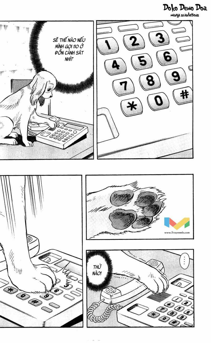 animal sense chapter 7 19