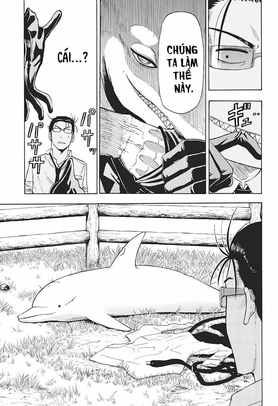 hard-boiled cop and dolphin chapter 5 8