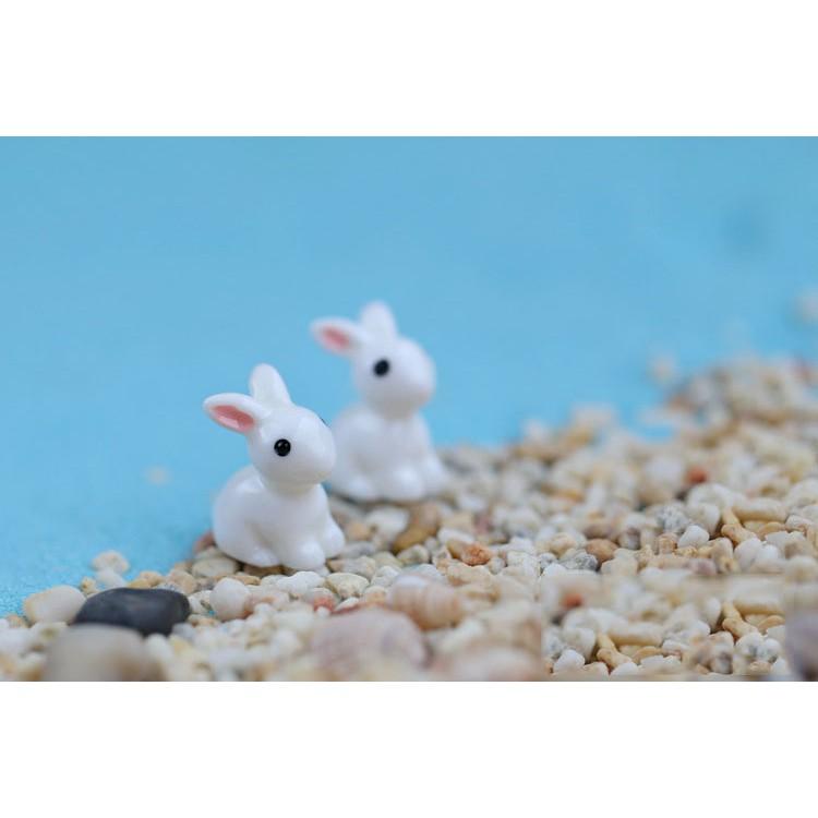 Tiểu cảnh Terrarium ️ Mô hình thỏ trắng tiểu cảnh trang trí sen đá, sân vườn, bể cá, bể terrarium