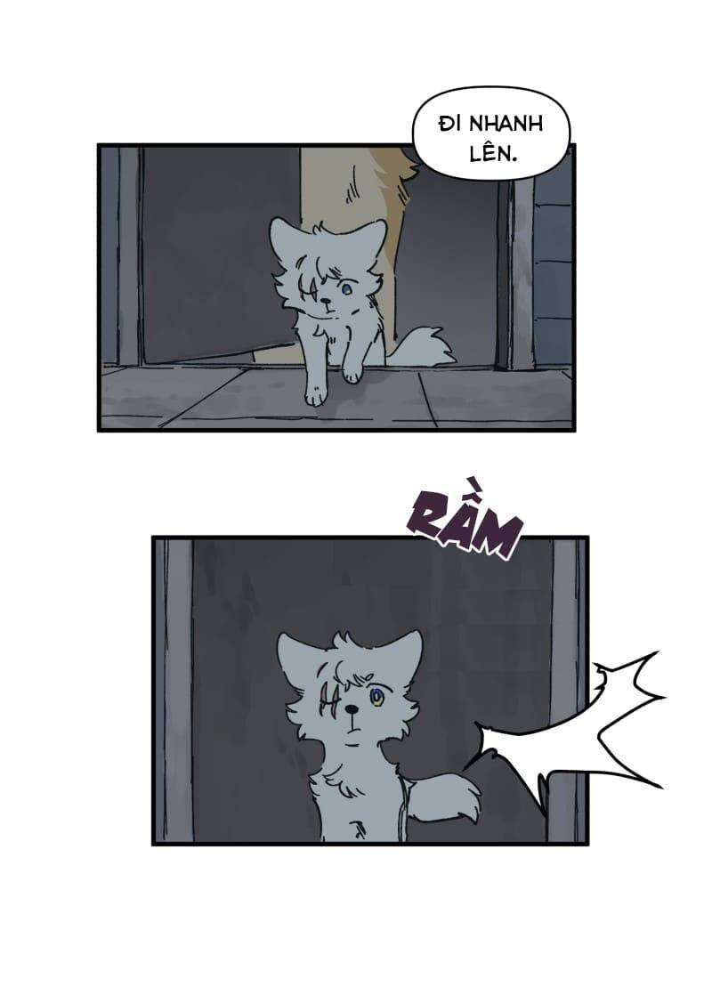 lumine - cội nguồn ánh sáng chapter 141 24