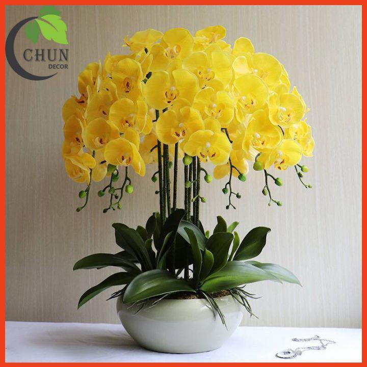 Chậu Lan Giả, Chậu Lan Hồ Điệp Cao 60cm Tán Tròn 360 Độ Trang Trí Nhà Cửa, Cửa Hàng, Văn Phòng, Lớp Học