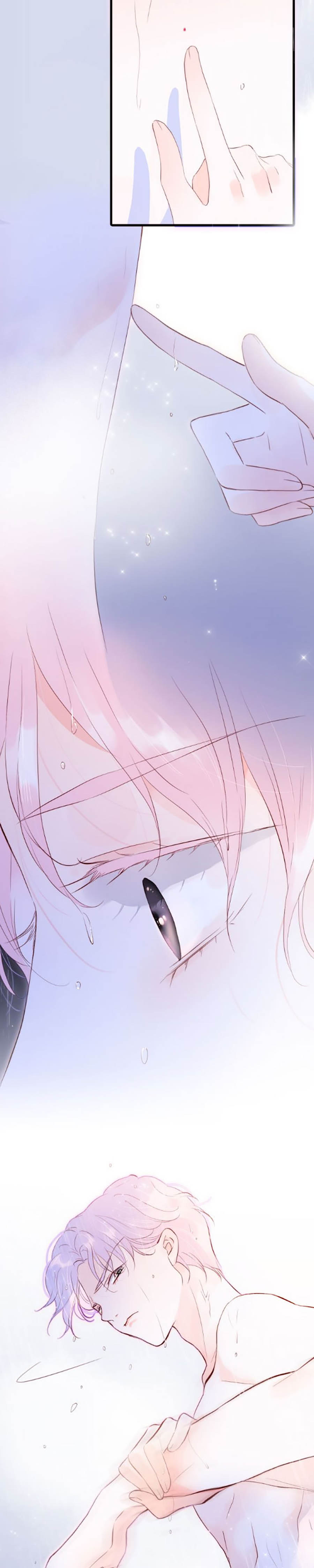 hoa bỏ chạy với nhím rồi chapter 2.2 8