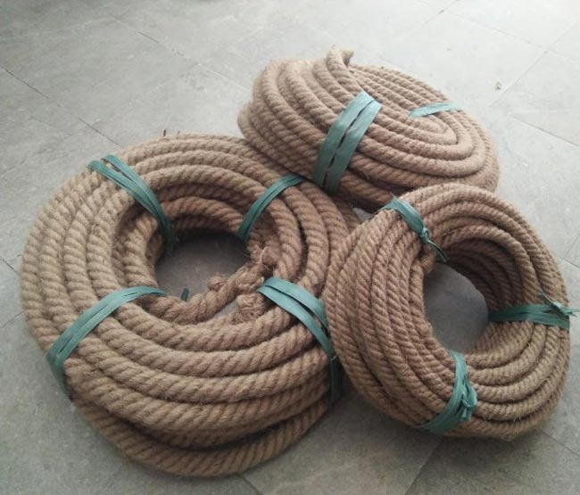 Dây thừng kéo co 