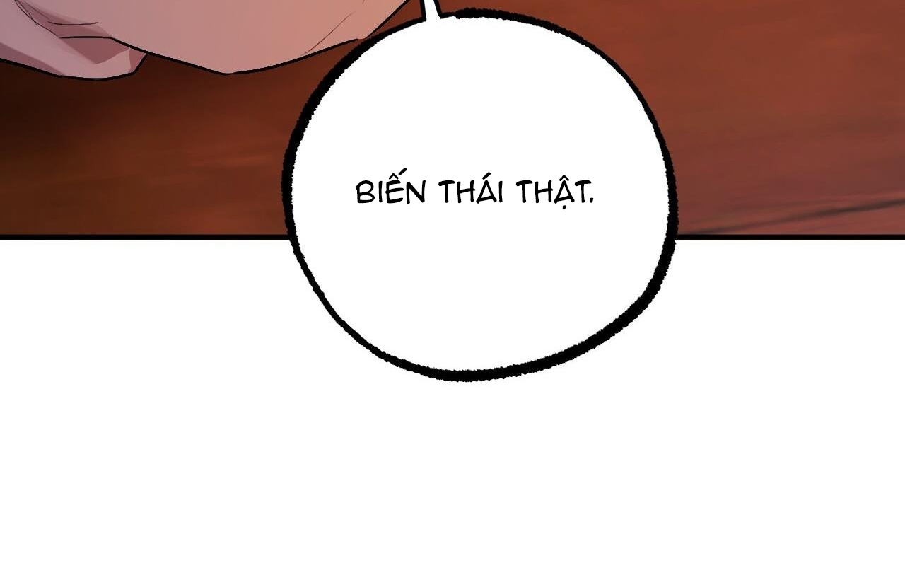 đàn thỏ của habibi chapter 33 118