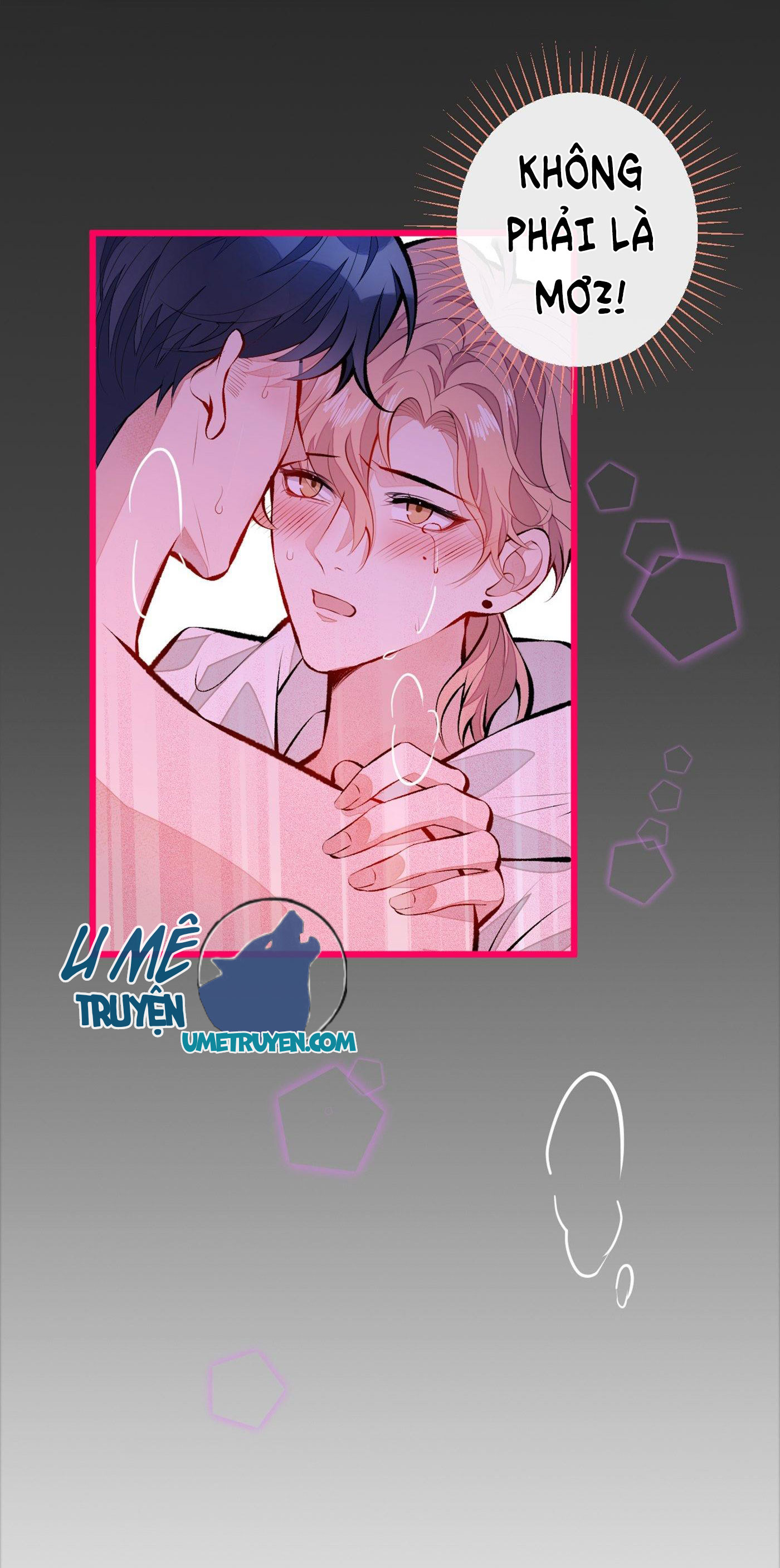 lại bị nam thần chọc trên hot search! chapter 30 28