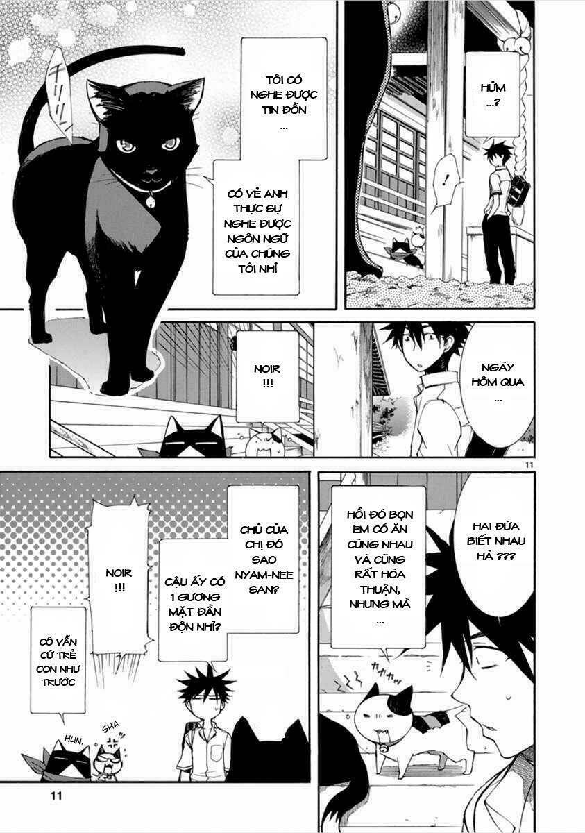 nyankoi! chapter 12 12