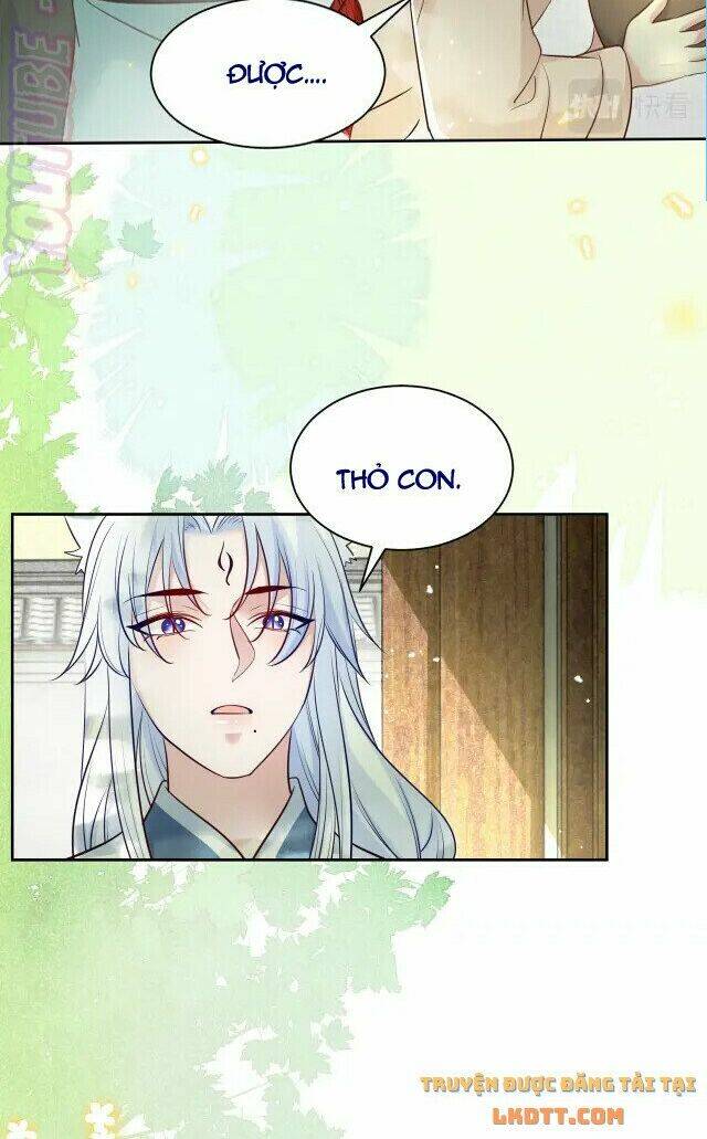 hắc hóa nam chính trực tuyến nuôi thỏ chapter 45 3