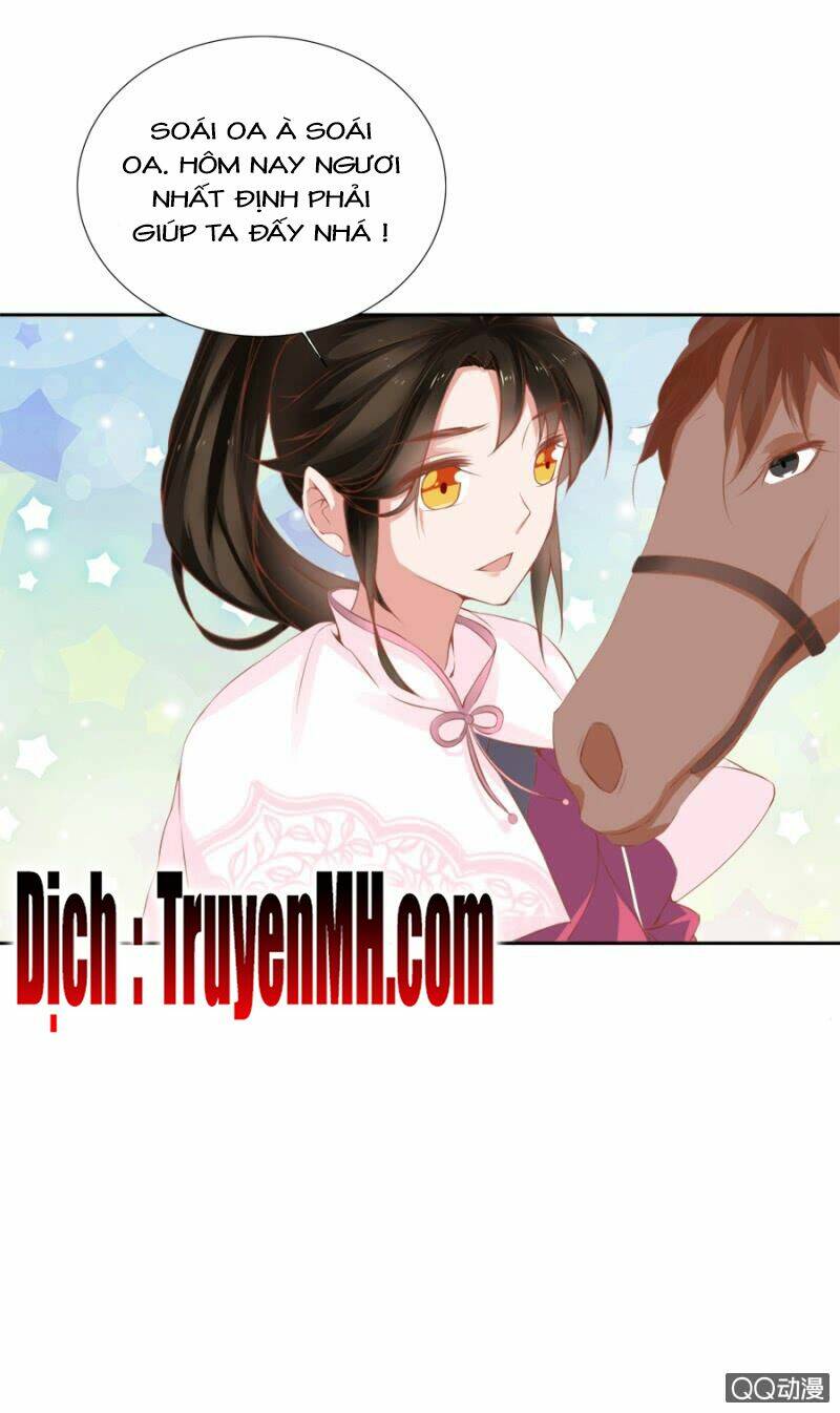 solo đi vương gia chapter 137 7