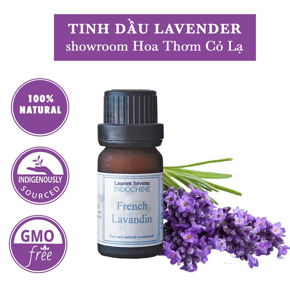 Tinh dầu Oải hương Pháp - Lavender Oil France