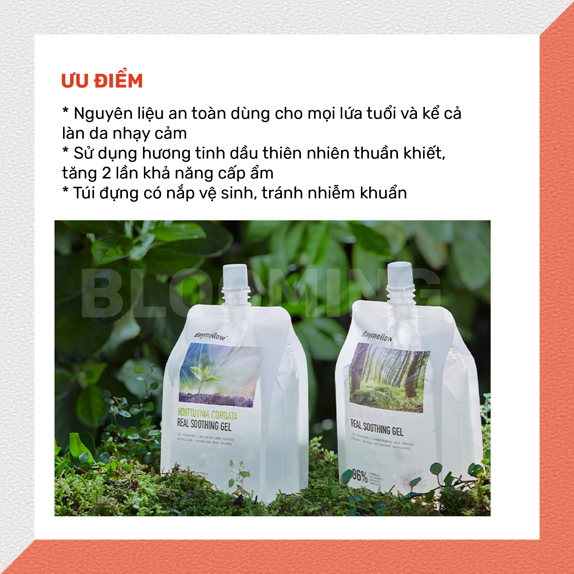 Gel ngăn ngừa lão hóa, giảm nếp nhăn, mờ nám và tàn nhang Daymellow Snow Mushroom Real Soothing 300ml