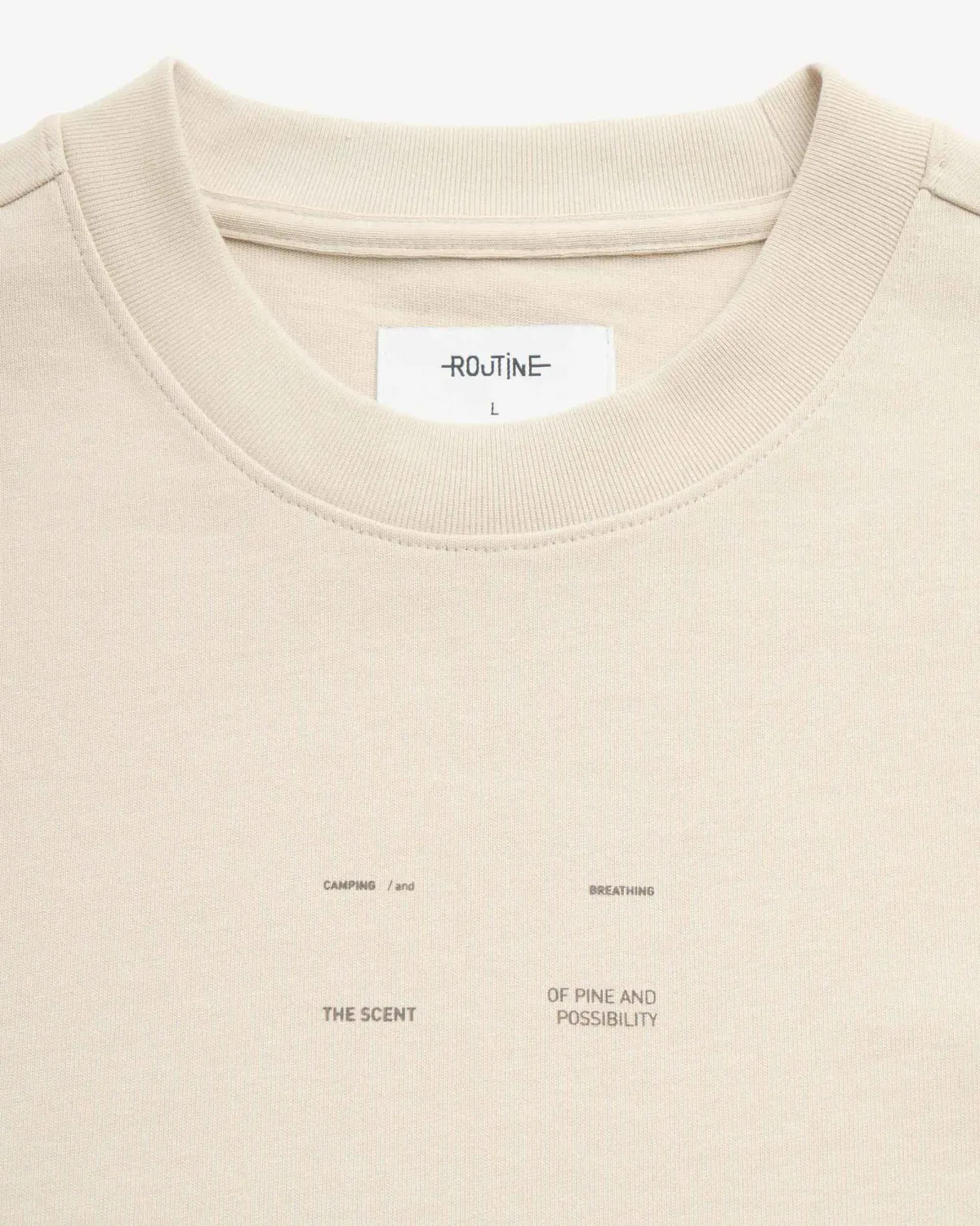 Áo thun tay ngắn nam có in. Regular - RT 10F24TSS065 | ROUTINE CÀ MAU