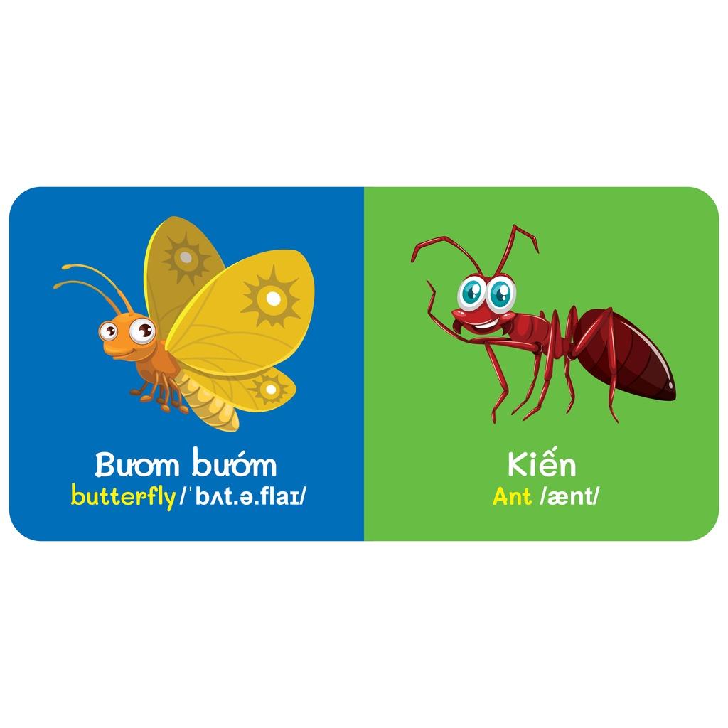 Sách - Baby'S First Picture Dictionary - Từ Điển Bằng Hình Đầu Tiên Của Bé - Côn Trùng - Insects (Bìa Cứng)